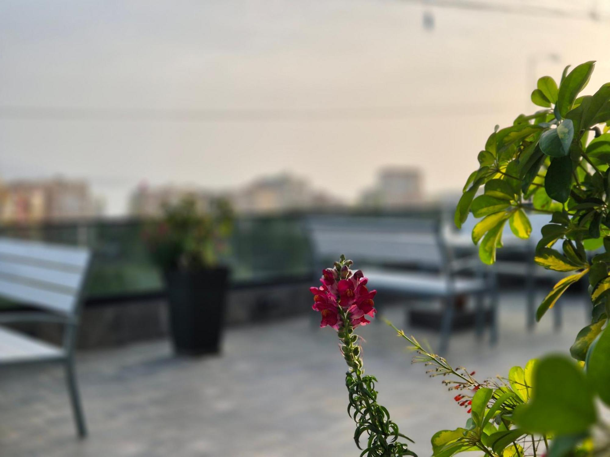 Flore Rooms Sarande Luaran gambar